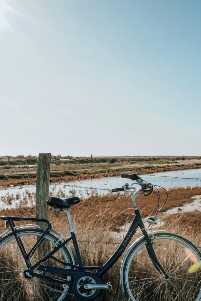 location-balade-a-velo-ile-de-re-les-cycles-n.jpg location-balade-a-velo-ile-de-re-les-cycles-n.jpg
